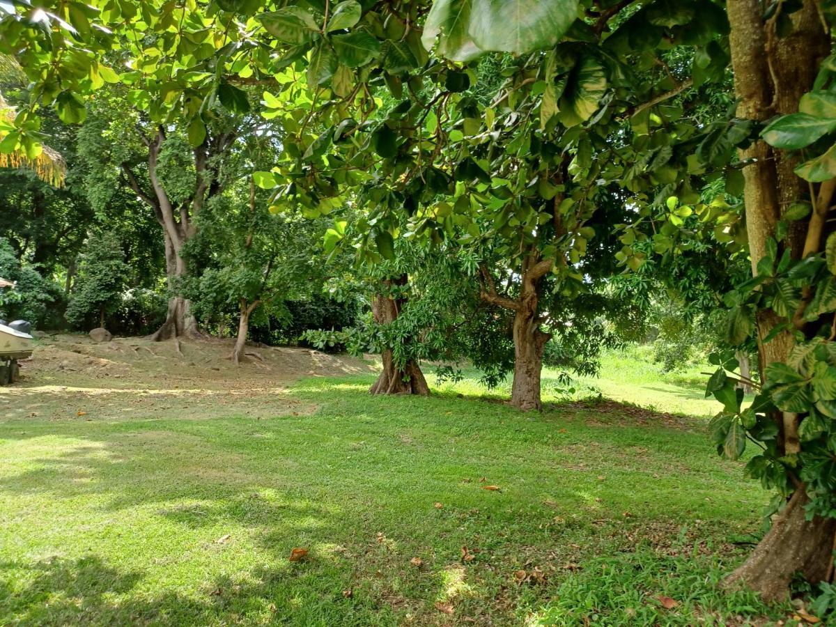 Bungalow Papaye Pointe-Noire Exteriör bild