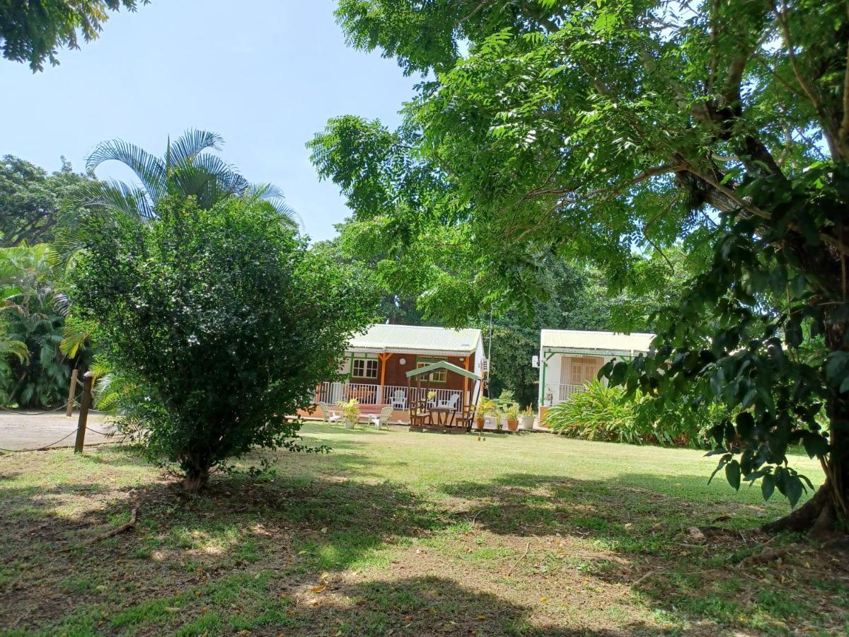 Bungalow Papaye Pointe-Noire Exteriör bild